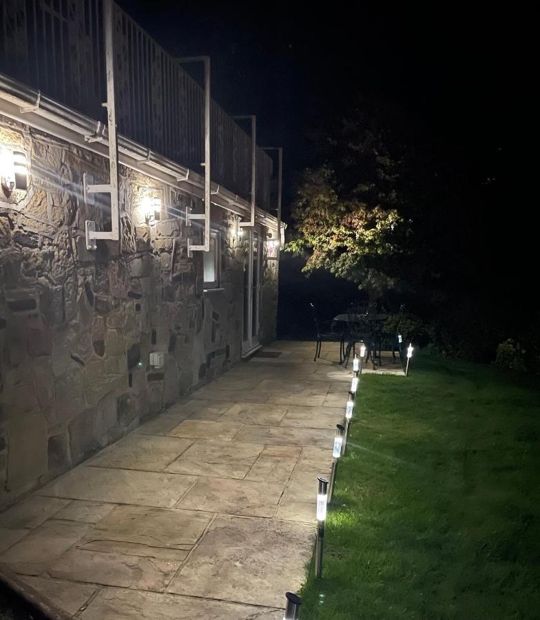 Apartment - Pet Friendly! - Free Parking